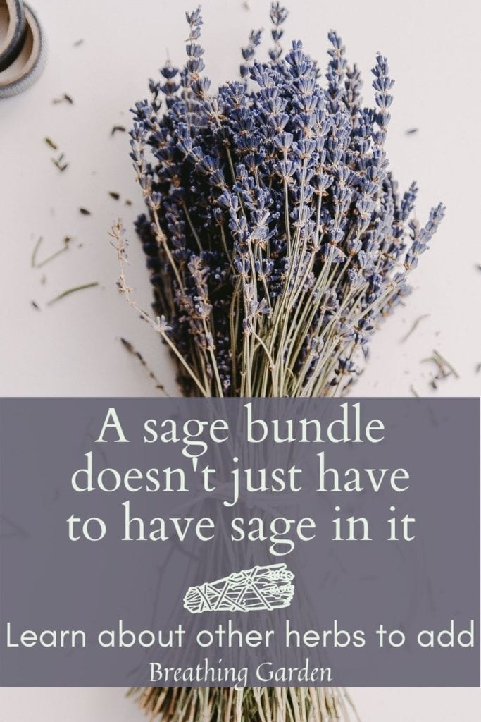 Want to make your own sage bundles and add other scents? Figure out which plants to add into your garden.