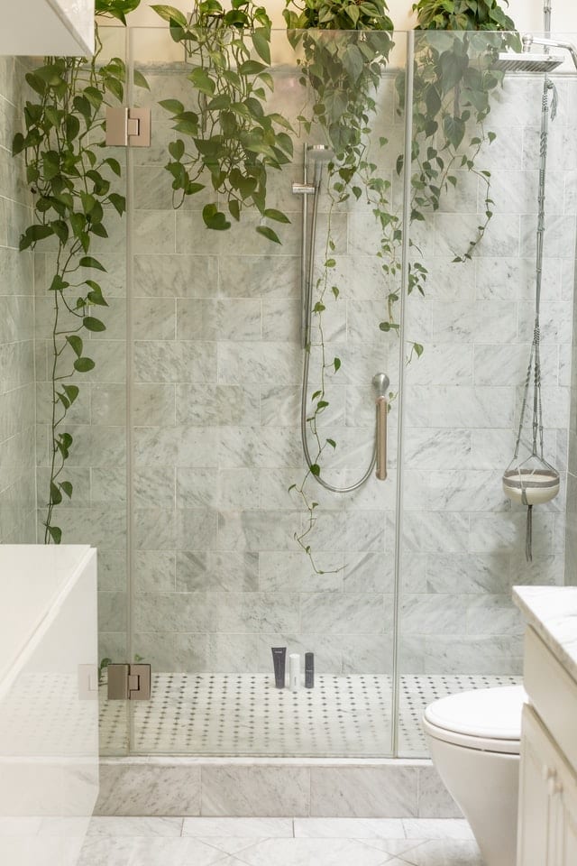 plants around a shower
