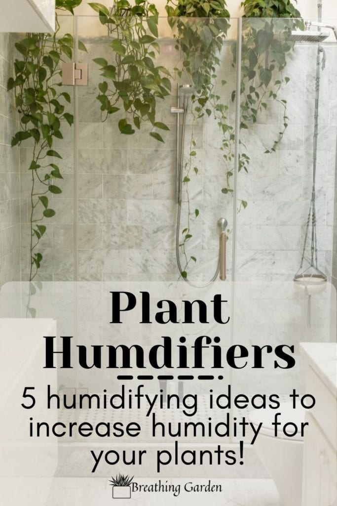 Some plants need humidity to thrive! These are 5 plant humidifier ideas to increase the moisture in the air.