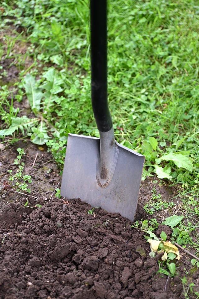shovel in dirt