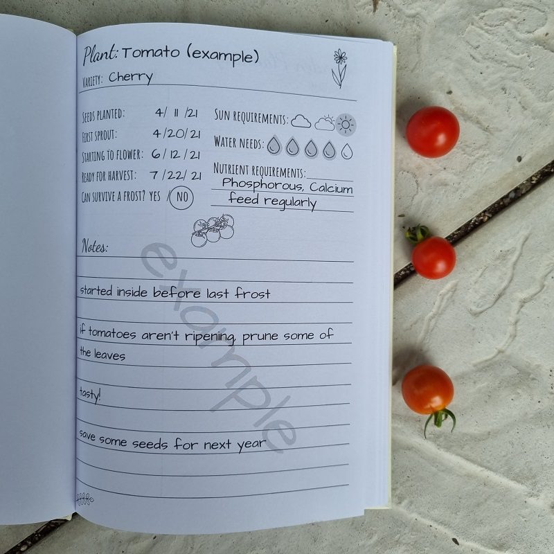 cherry tomato example page