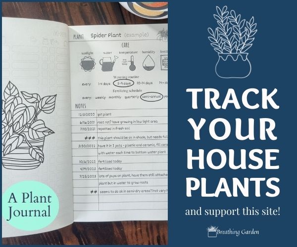 track your houseplants a journal